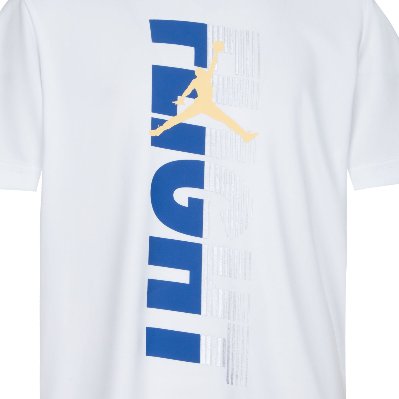 Jordan white static flight dri-fit tee T Shirt Jordan   
