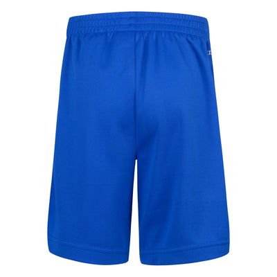 Nike blue dri-fit adp shorts Shorts Nike   