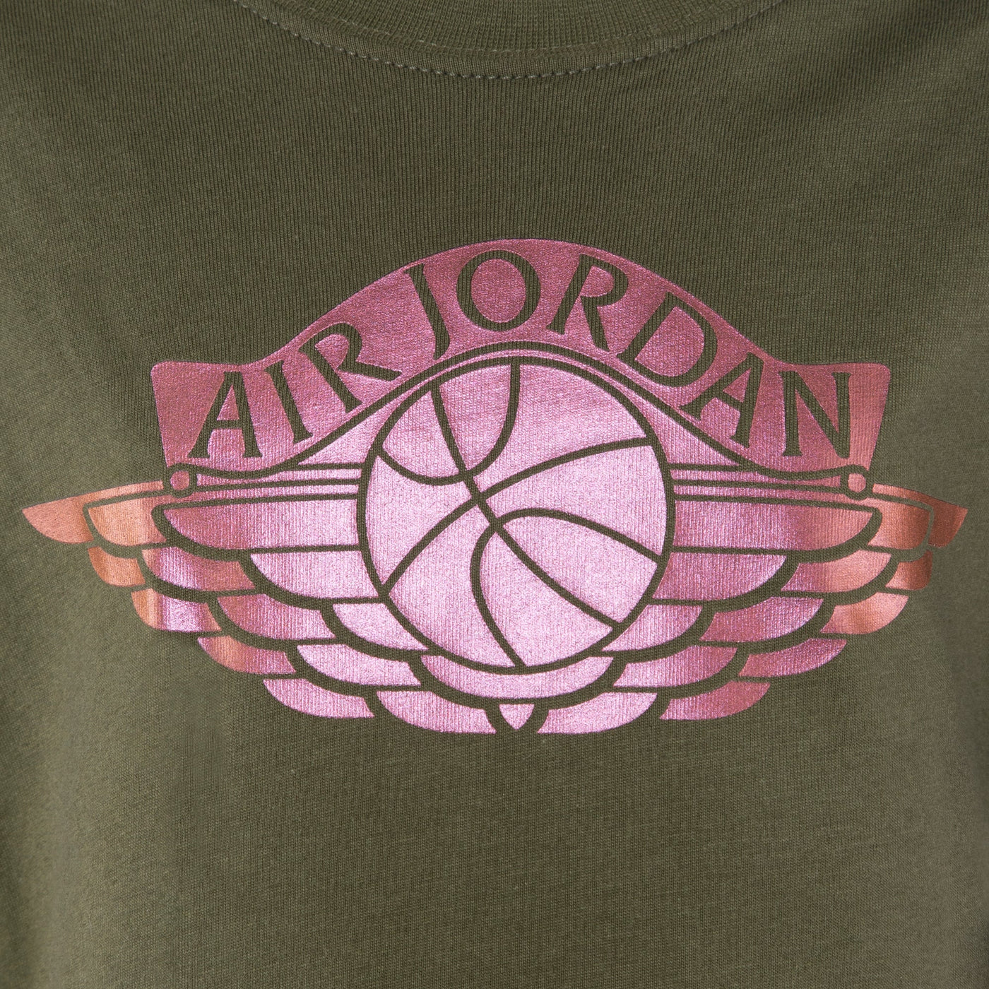 Jordan Color Shift Logo T-Shirt T Shirt Jordan   