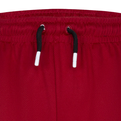 Jordan red gym 23 mesh shorts Shorts Jordan   