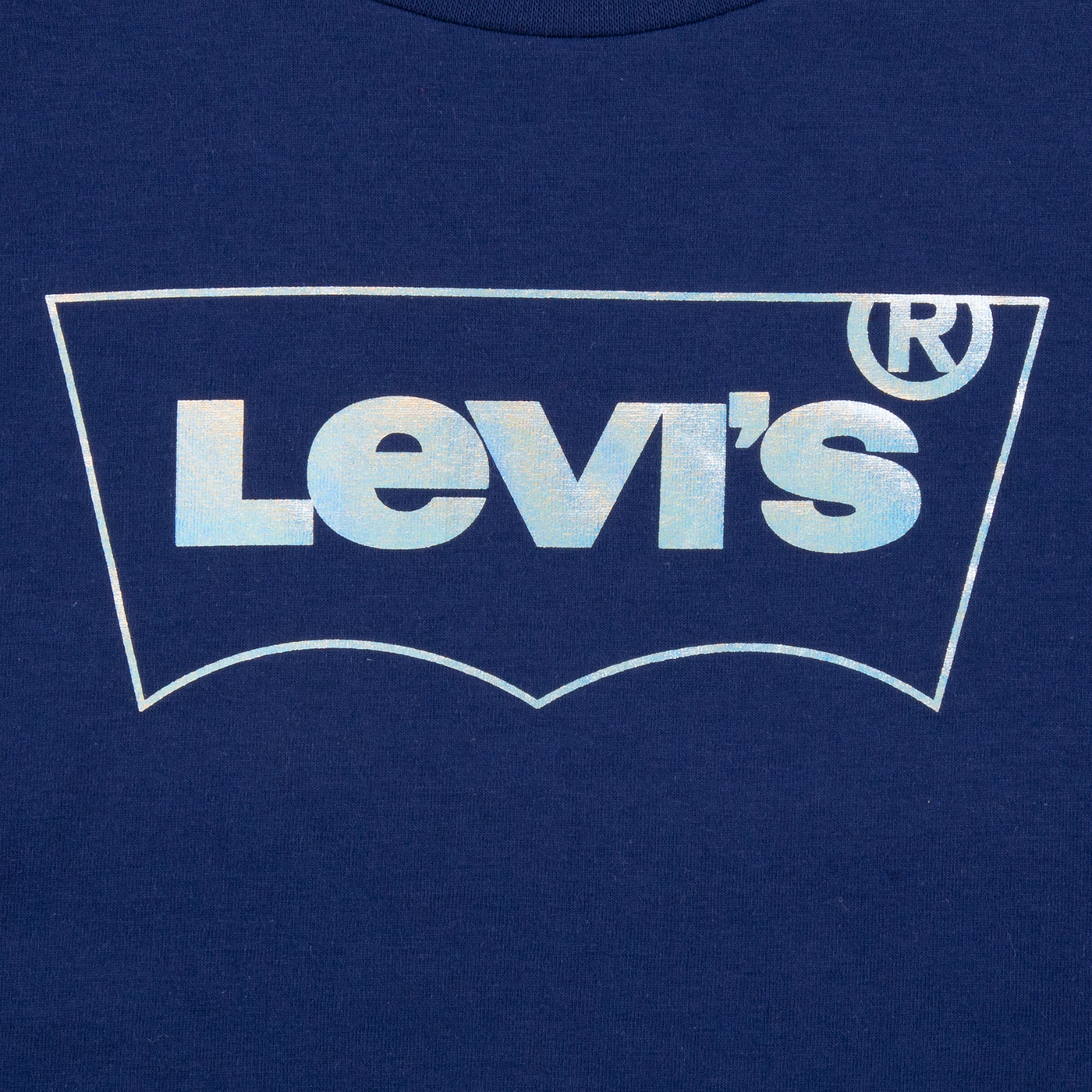 Levi's® Meet & Greet Batwing Tee T Shirt Levi's   