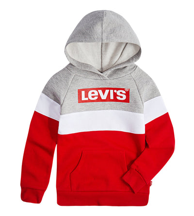 Levi's® Colorblock Fleece Logo Hoodie Sweatshirt Levi's   