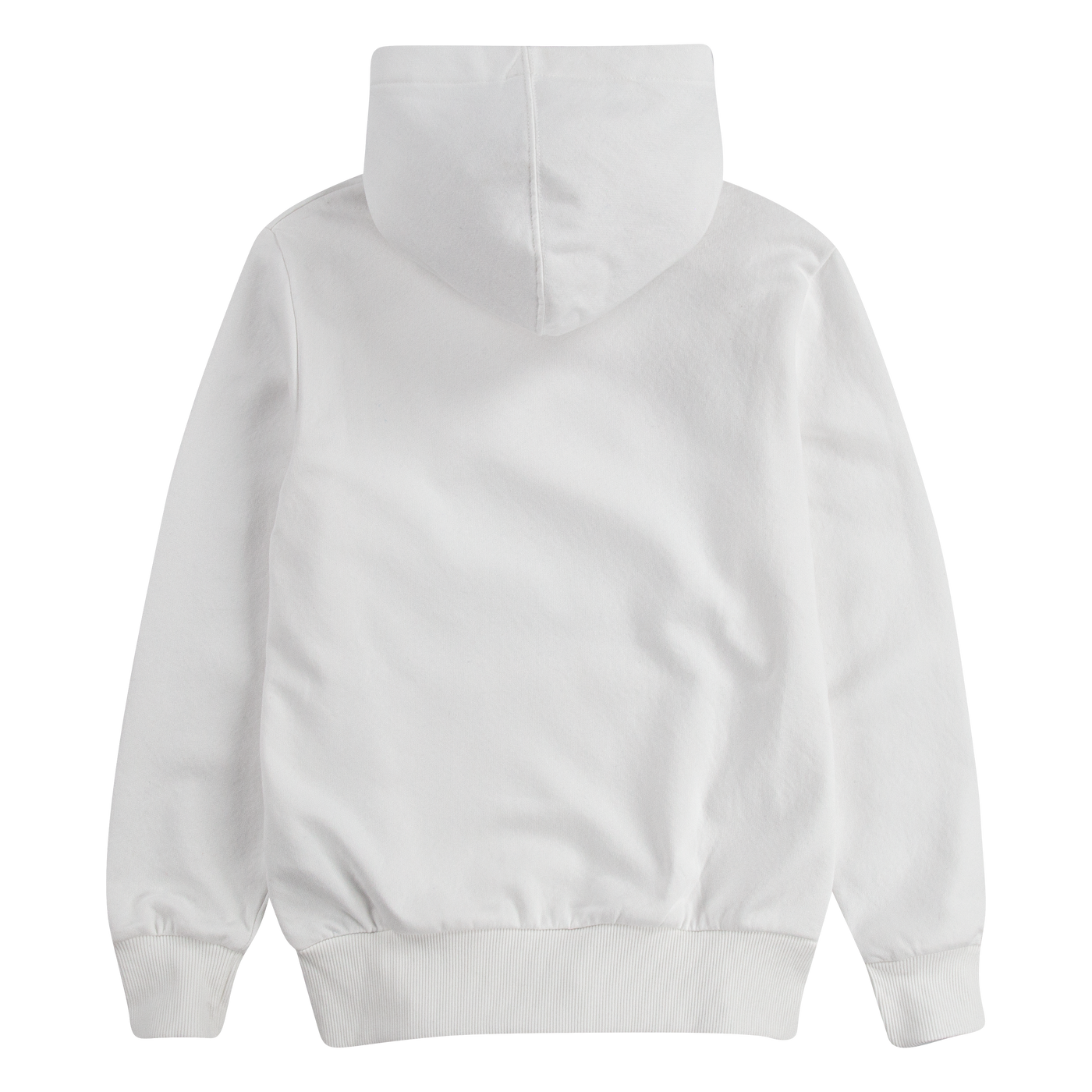 Levi's® Boys Housemark Logo Pullover Hoodie Sweatshirt Levi's   