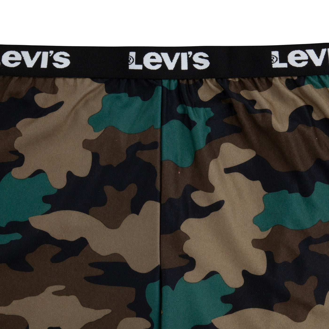 Levi's® Big Boys Camo Print Loose Fit House Pants Joggers Levi's   